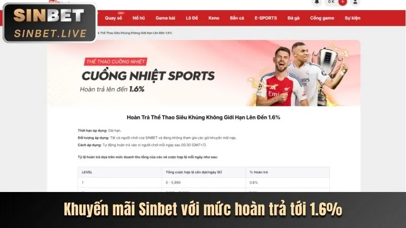 Hoàn trả hàng ngày/tuần tại 8fbet